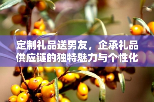 定制礼品送男友，企承礼品供应链的独特魅力与个性化选择